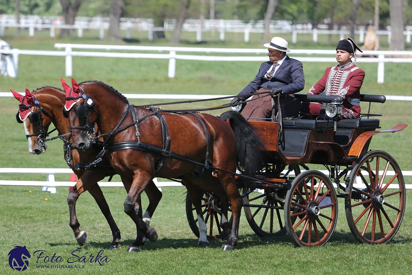 Kladruby 2019 - čtvrtek + pátek - drezury