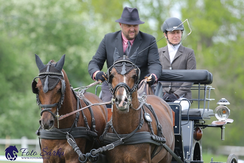 Kladruby 2019 - čtvrtek + pátek - drezury