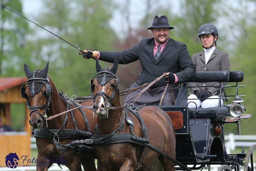 Kladruby 2019 - čtvrtek + pátek - drezury