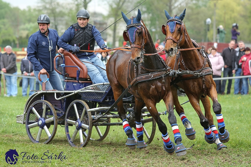 Kladruby 2019 - sobota - maraton