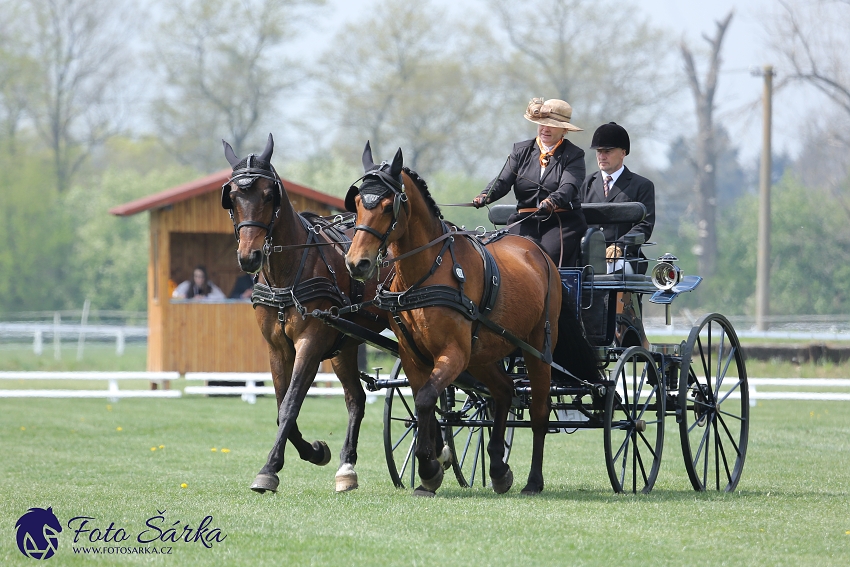 Kladruby 2019 - středa