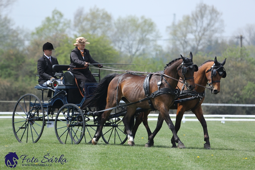 Kladruby 2019 - středa