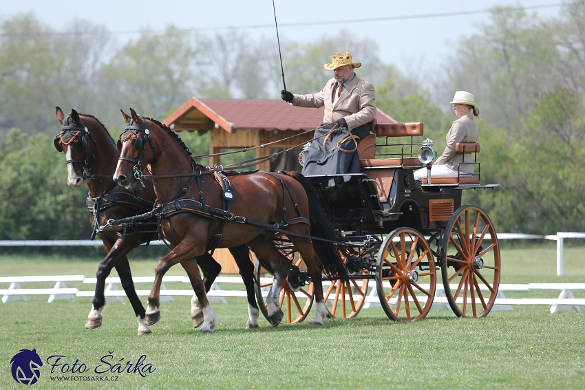 Kladruby 2019 - středa