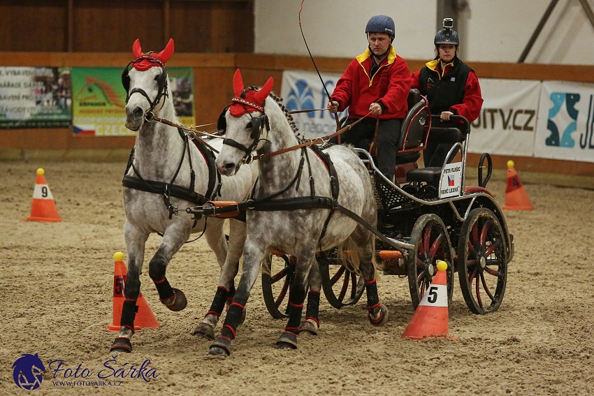 Královice 2019 - finále spřežení