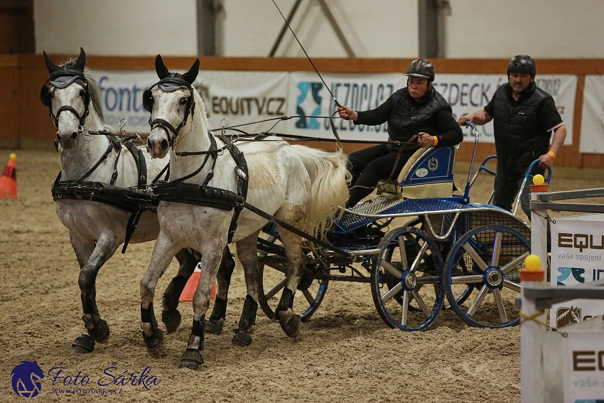 Královice 2019 - finále spřežení