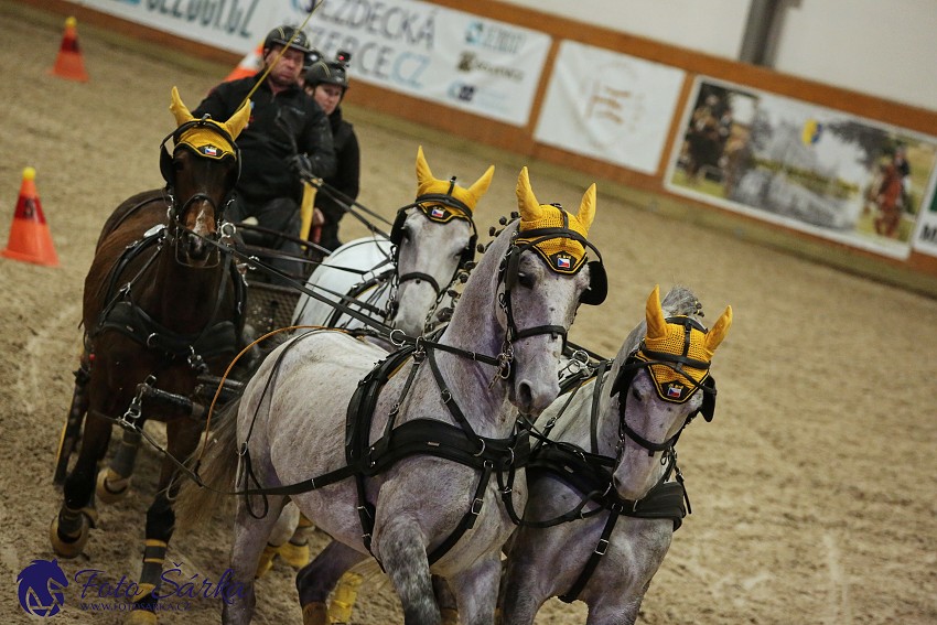 Královice 2019 - finále spřežení