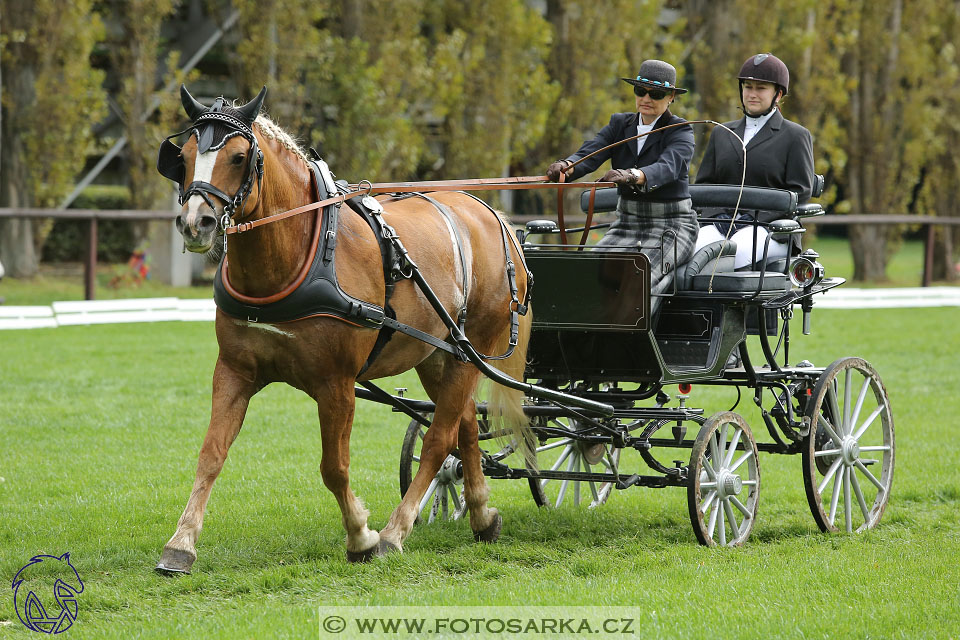 MČR Pardubice 2017 - drezury