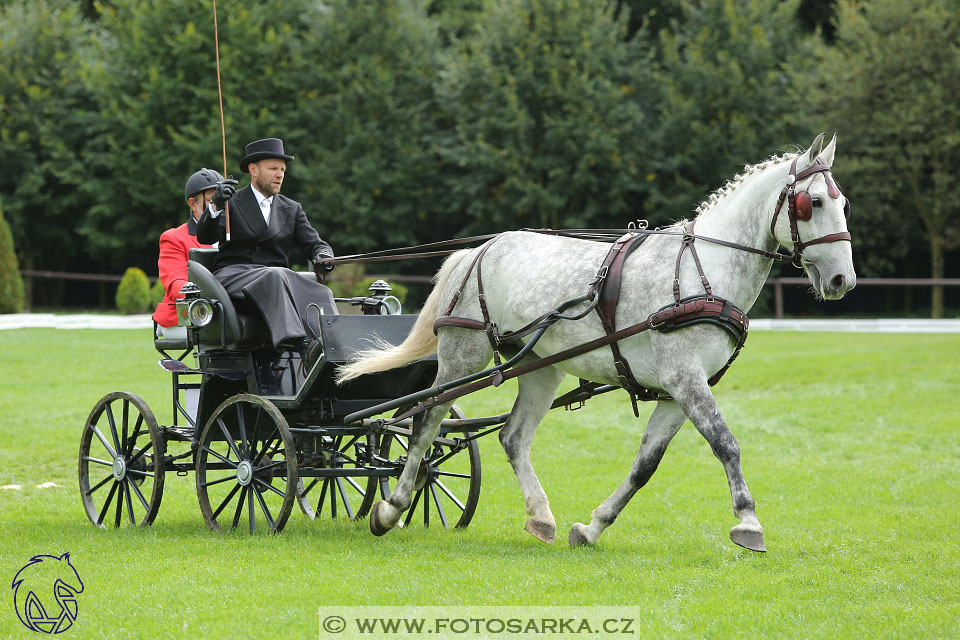 MČR Pardubice 2017 - drezury