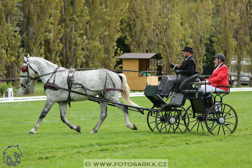 MČR Pardubice 2017 - drezury