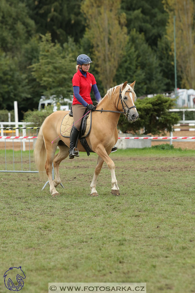 MČR Pardubice 2017 - drezury