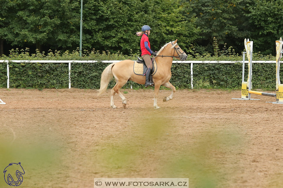 MČR Pardubice 2017 - drezury