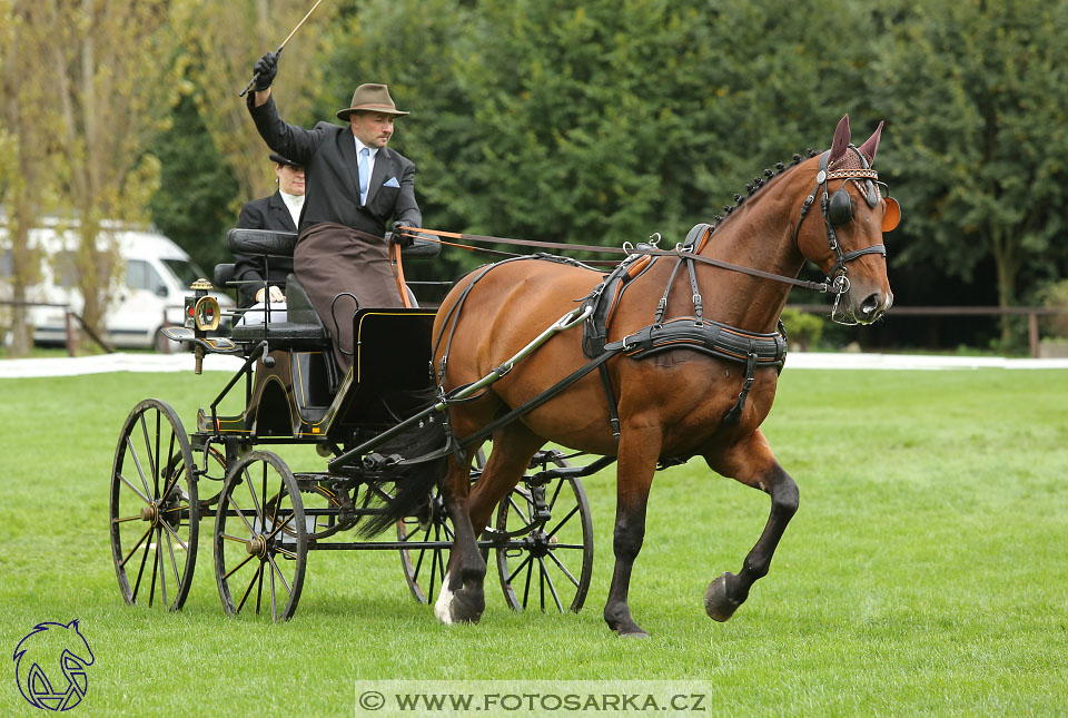 MČR Pardubice 2017 - drezury