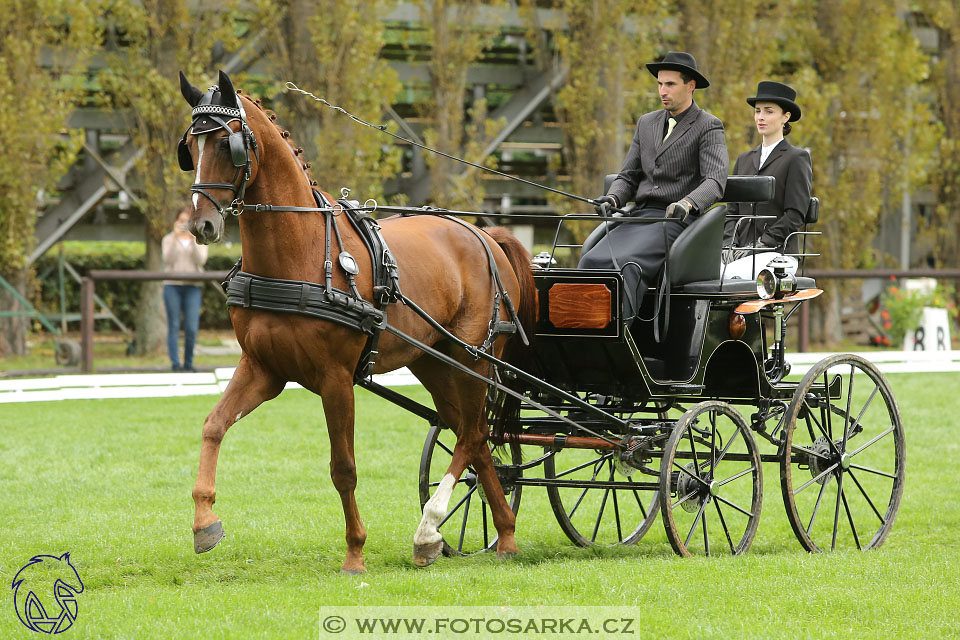 MČR Pardubice 2017 - drezury