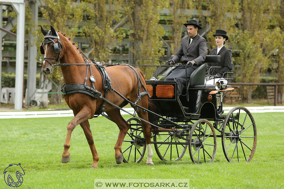 MČR Pardubice 2017 - drezury