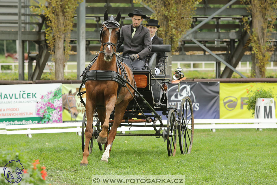 MČR Pardubice 2017 - drezury