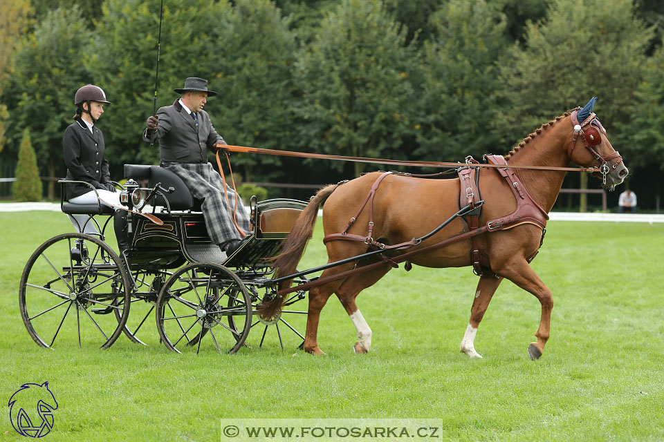 MČR Pardubice 2017 - drezury