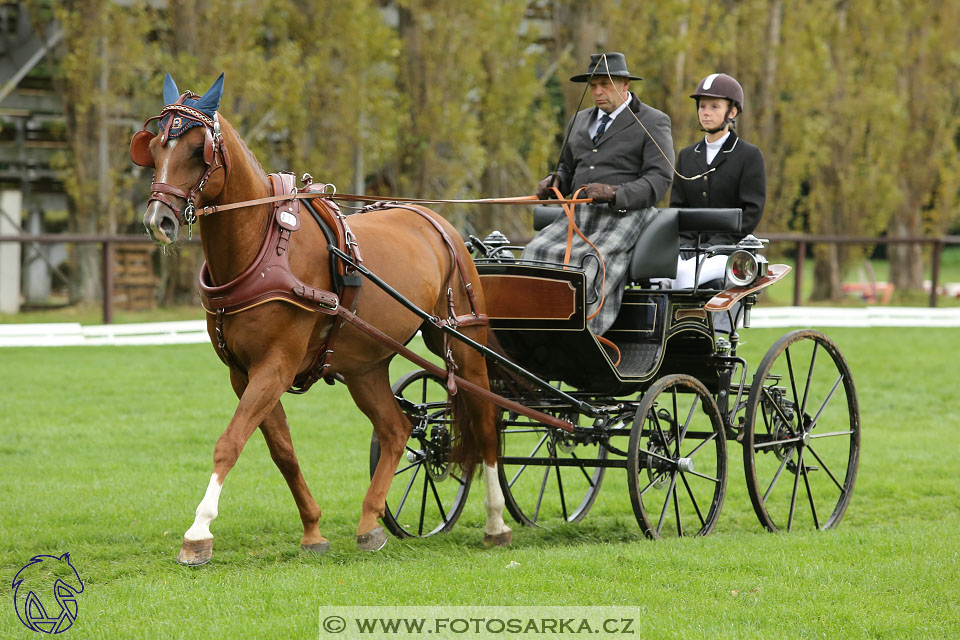 MČR Pardubice 2017 - drezury