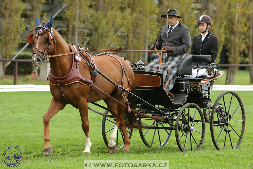 MČR Pardubice 2017 - drezury