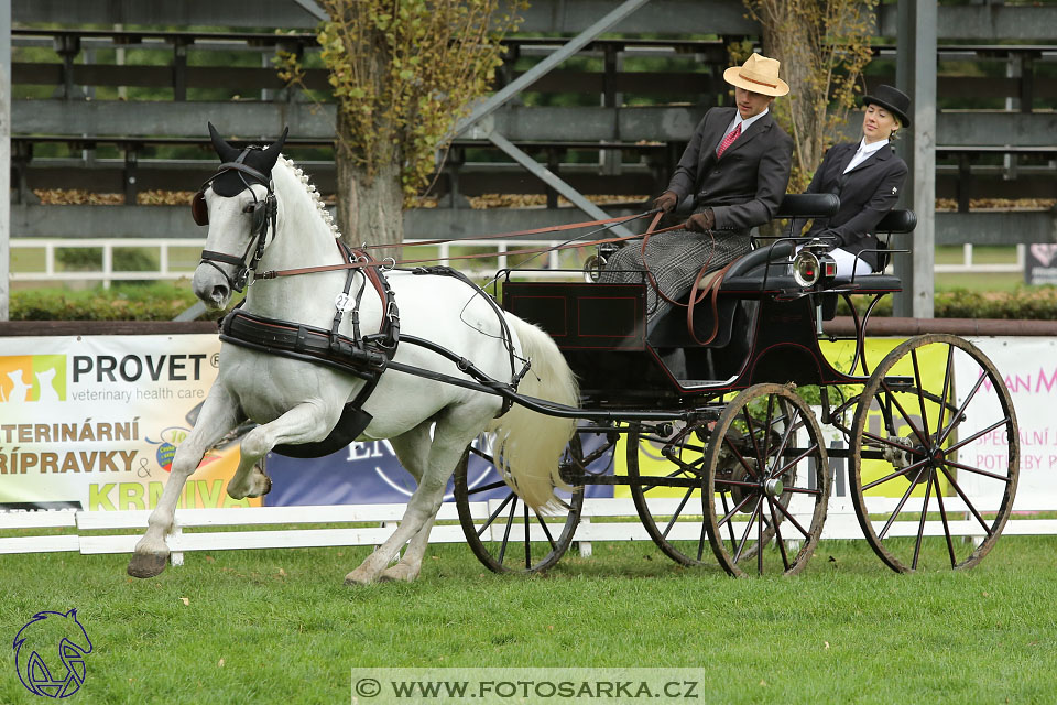 MČR Pardubice 2017 - drezury