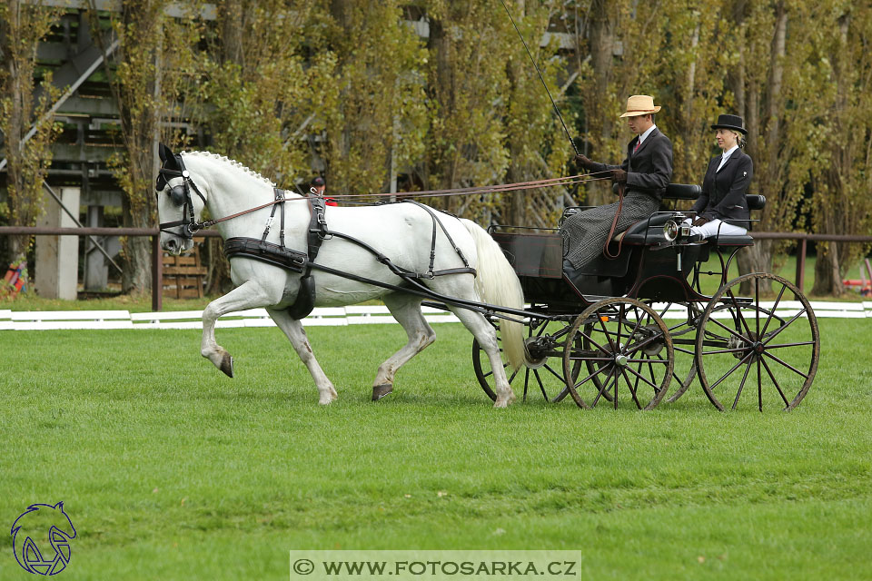 MČR Pardubice 2017 - drezury