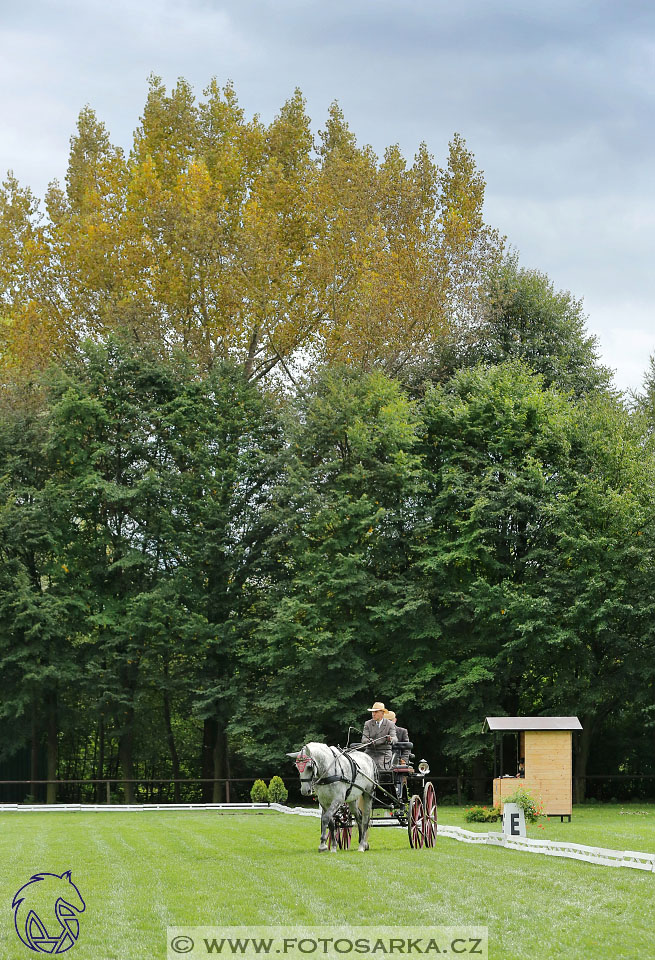 MČR Pardubice 2017 - drezury