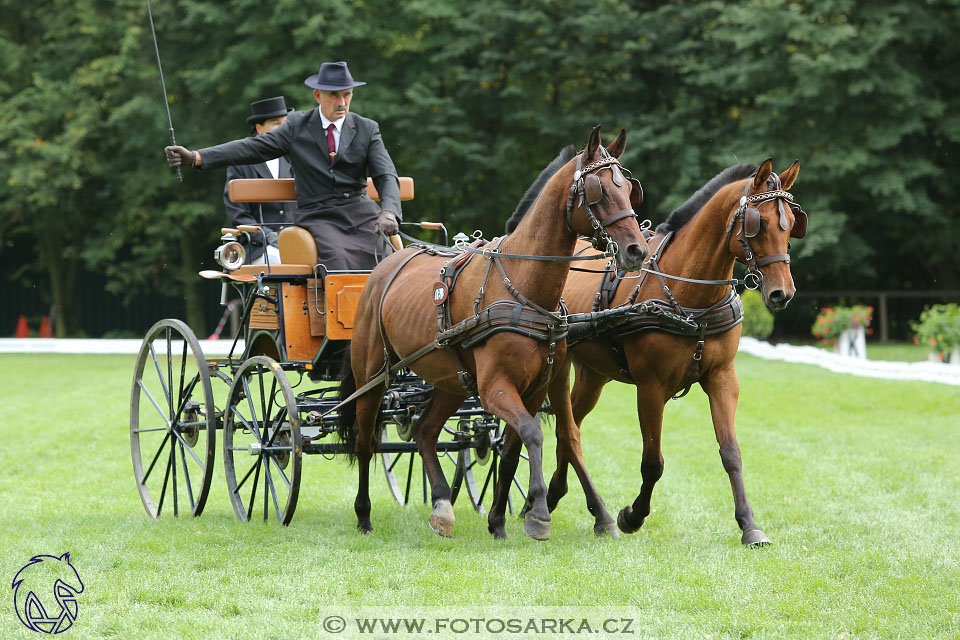 MČR Pardubice 2017 - drezury