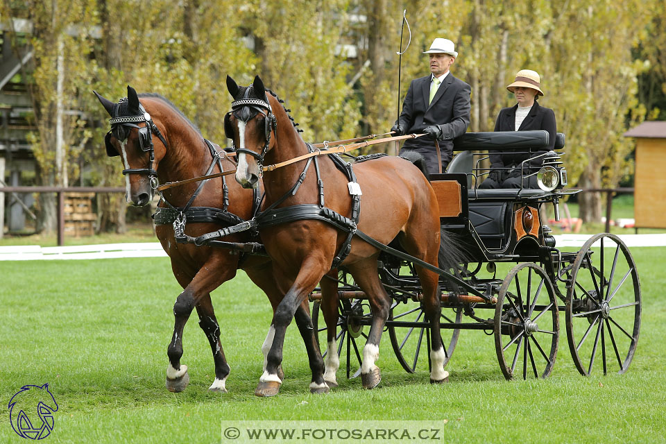 MČR Pardubice 2017 - drezury