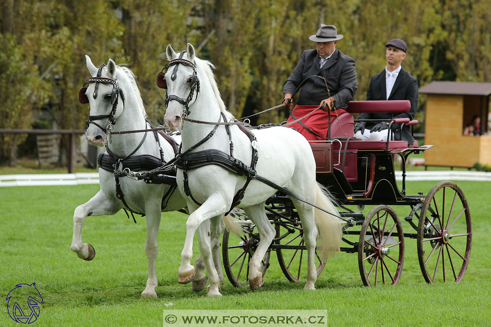 MČR Pardubice 2017 - drezury