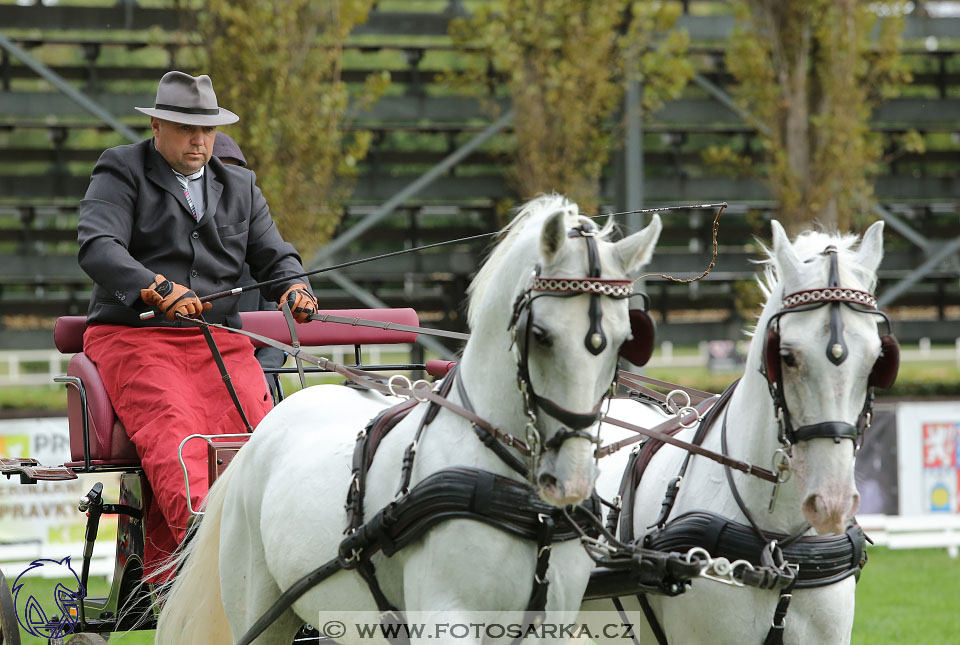 MČR Pardubice 2017 - drezury