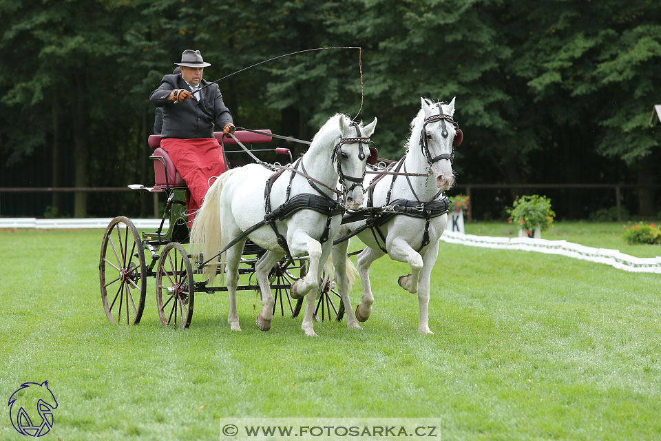 MČR Pardubice 2017 - drezury