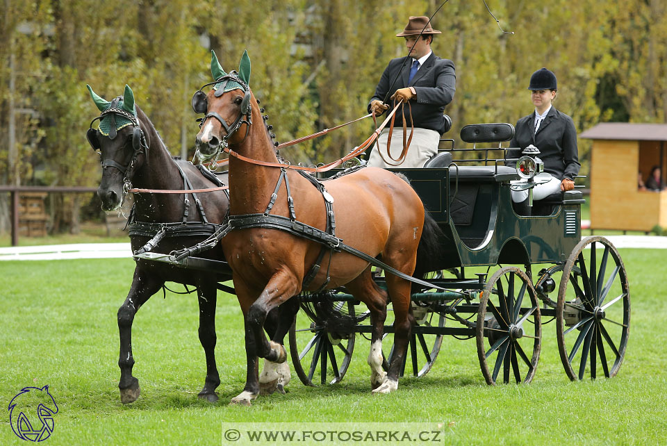 MČR Pardubice 2017 - drezury