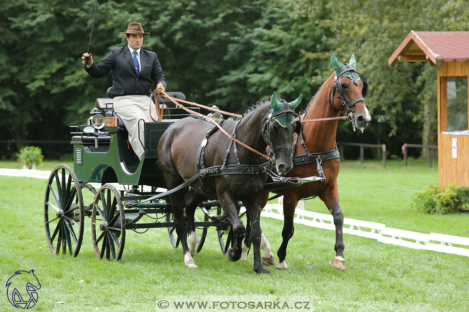 MČR Pardubice 2017 - drezury