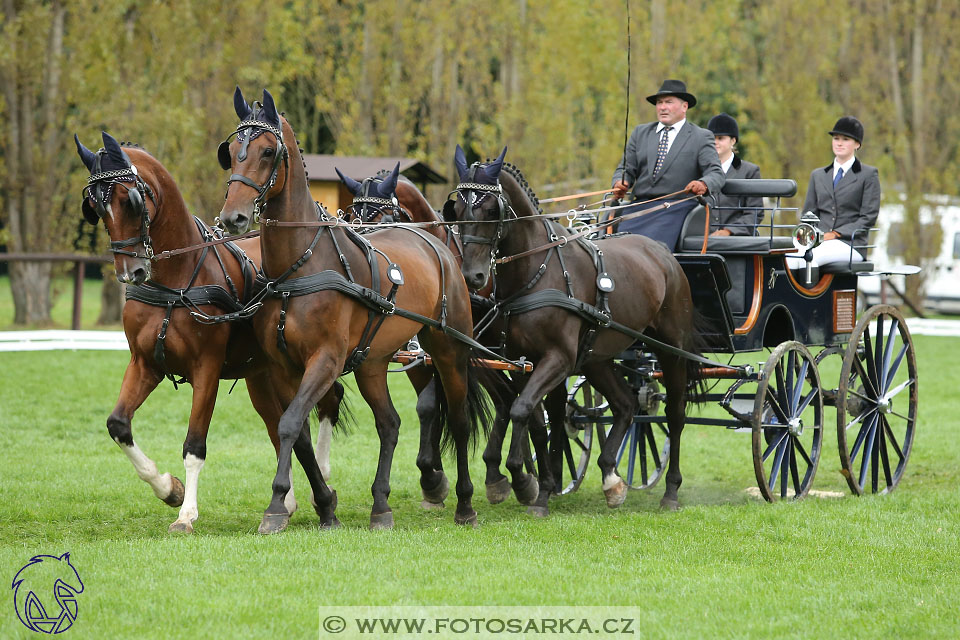 MČR Pardubice 2017 - drezury