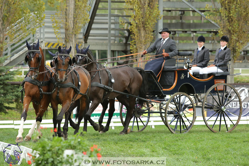 MČR Pardubice 2017 - drezury