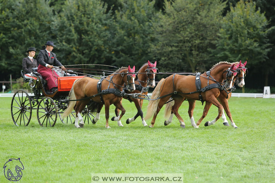 MČR Pardubice 2017 - drezury