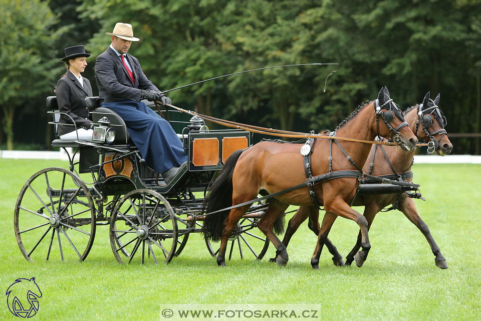 MČR Pardubice 2017 - drezury