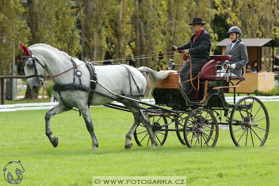 MČR Pardubice 2017 - drezury