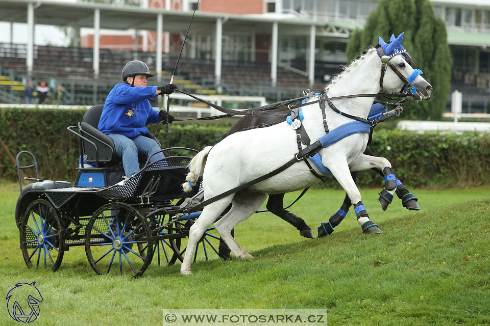 MČR Pardubice 2017 - maraton