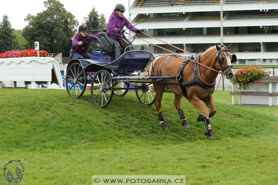 MČR Pardubice 2017 - maraton