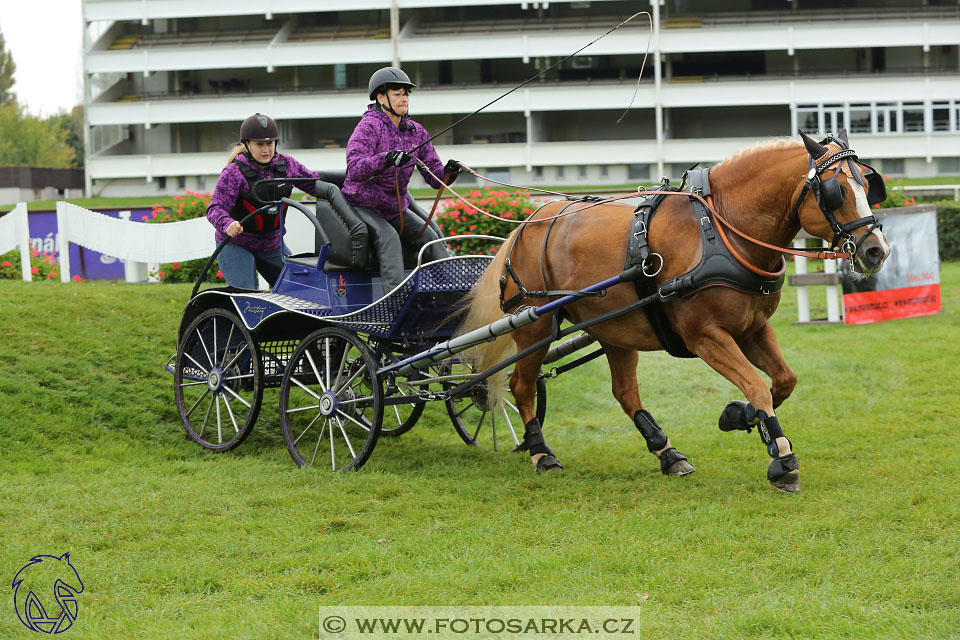 MČR Pardubice 2017 - maraton