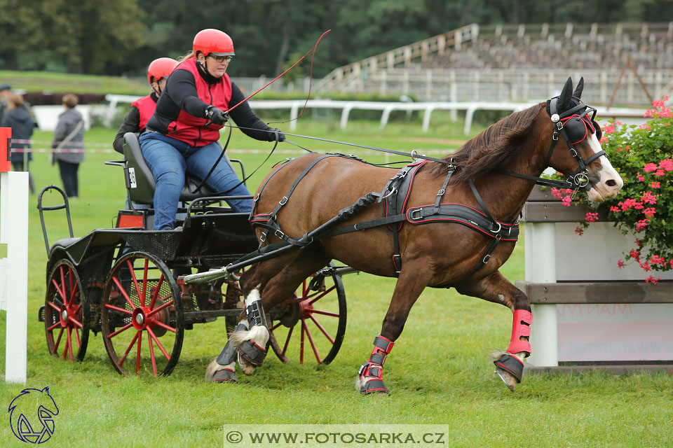 MČR Pardubice 2017 - maraton