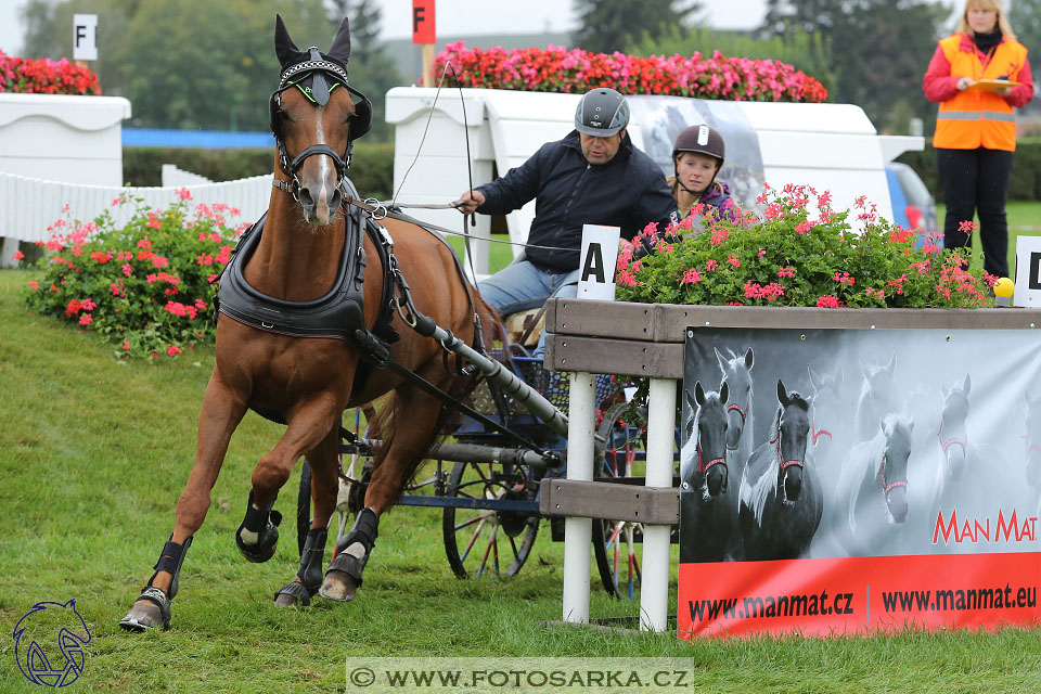 MČR Pardubice 2017 - maraton