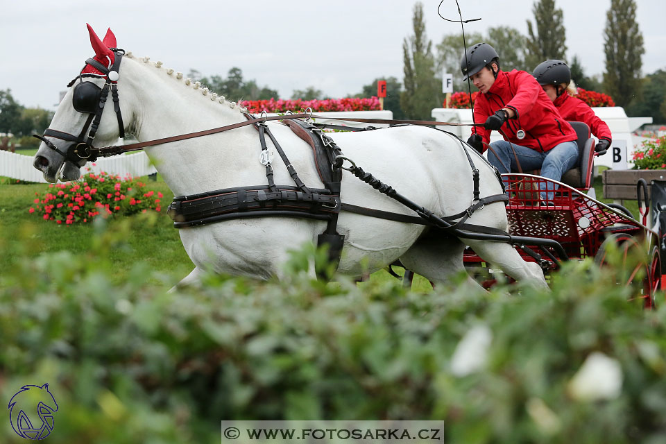 MČR Pardubice 2017 - maraton