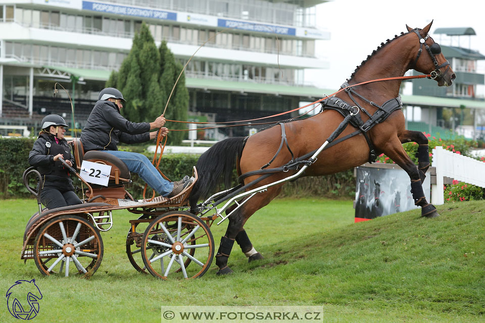 MČR Pardubice 2017 - maraton