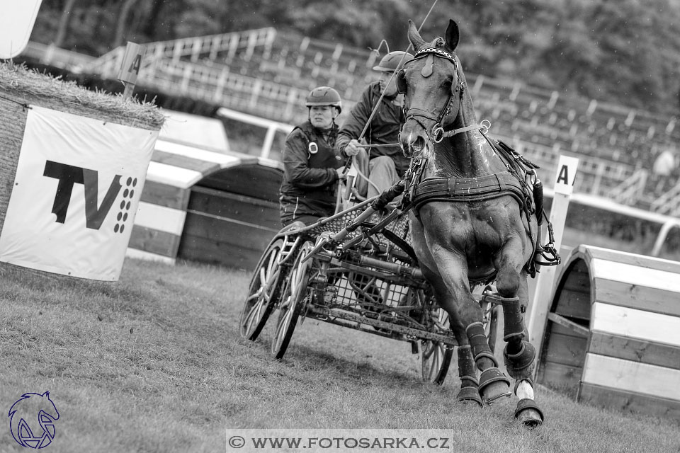 MČR Pardubice 2017 - maraton