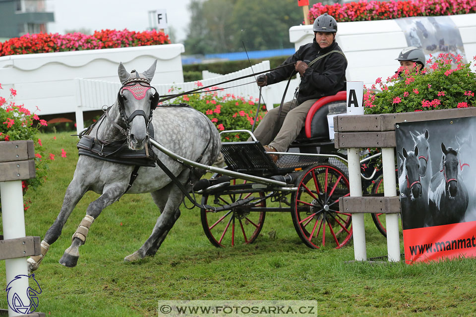 MČR Pardubice 2017 - maraton