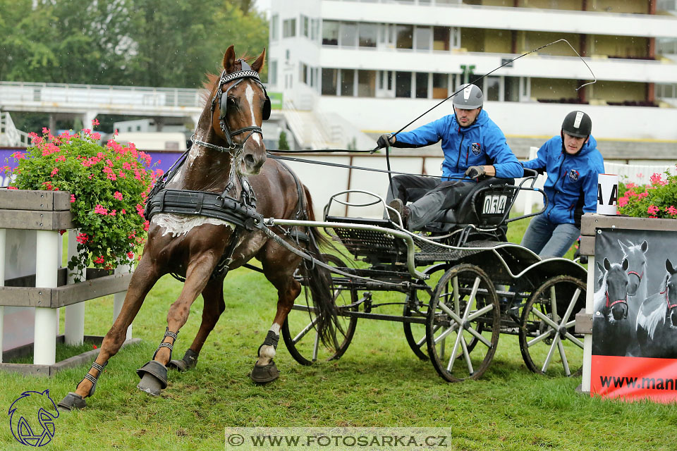 MČR Pardubice 2017 - maraton