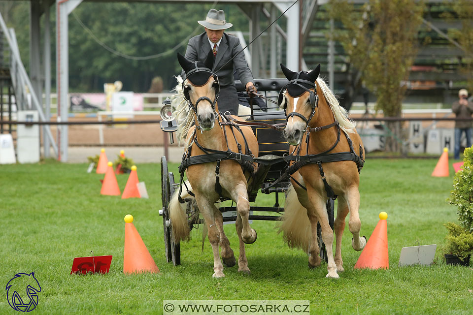 MČR Pardubice 2017 - parkur