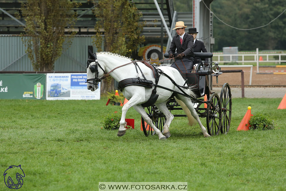 MČR Pardubice 2017 - parkur