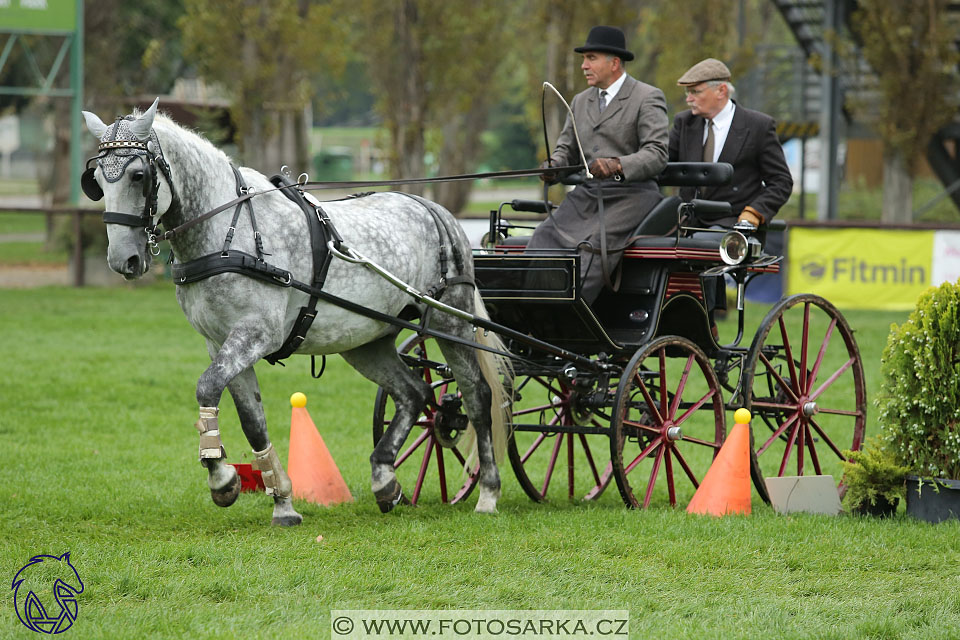 MČR Pardubice 2017 - parkur